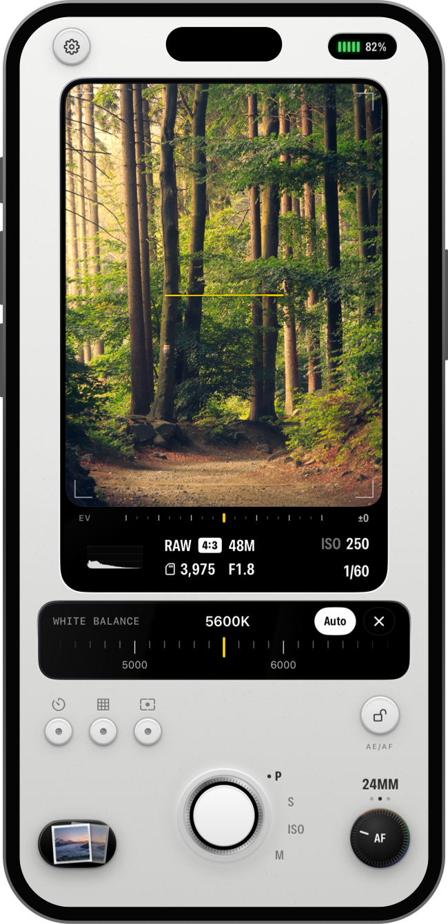 The white balance dial in a forest